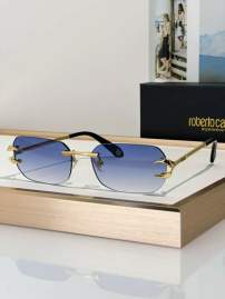 Picture of Roberto Cavalli Sunglasses _SKUfw79280014fw